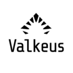 Viikon suomalainen yrittäjä - Henrik Söderlund, Valkeus Oy