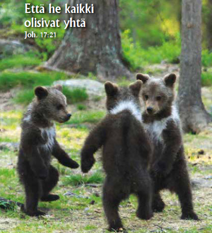 Lahjoita