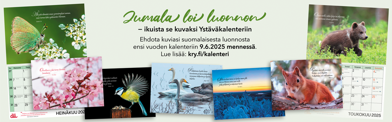 Kuvakarusellin kuva
