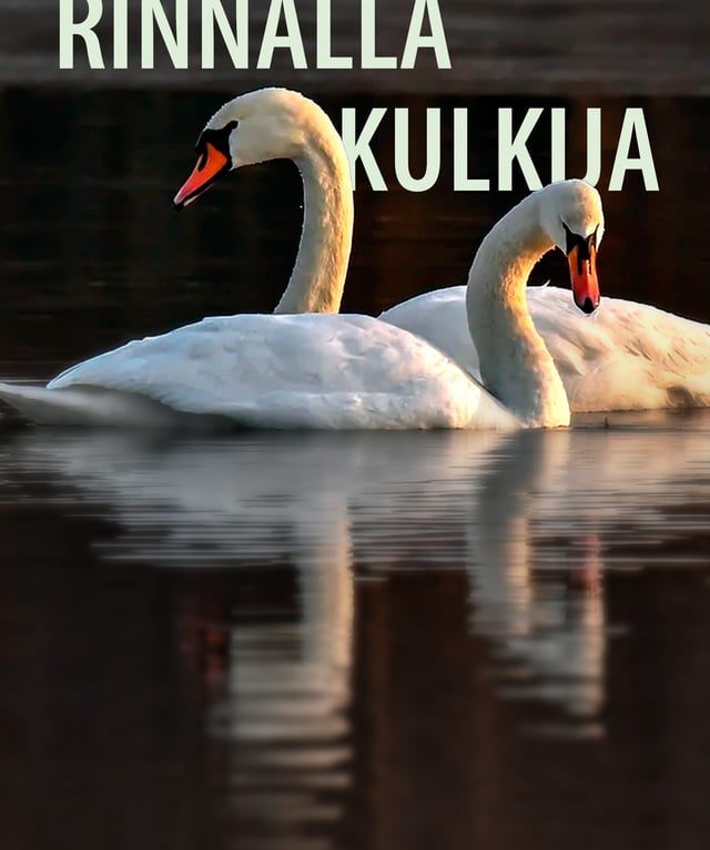 Rinnallakulkija