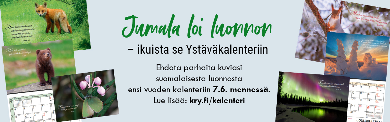 Kuvakarusellin kuva